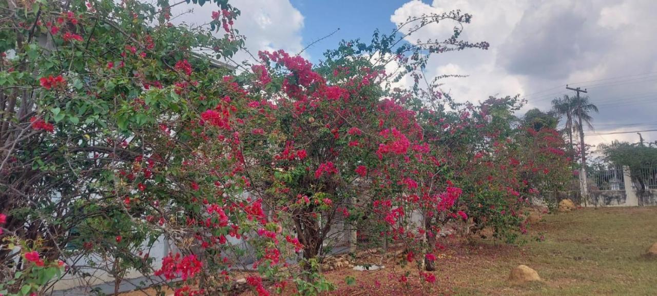 Villa De Assis Suites Alto Paraíso de Goiás Zewnętrze zdjęcie